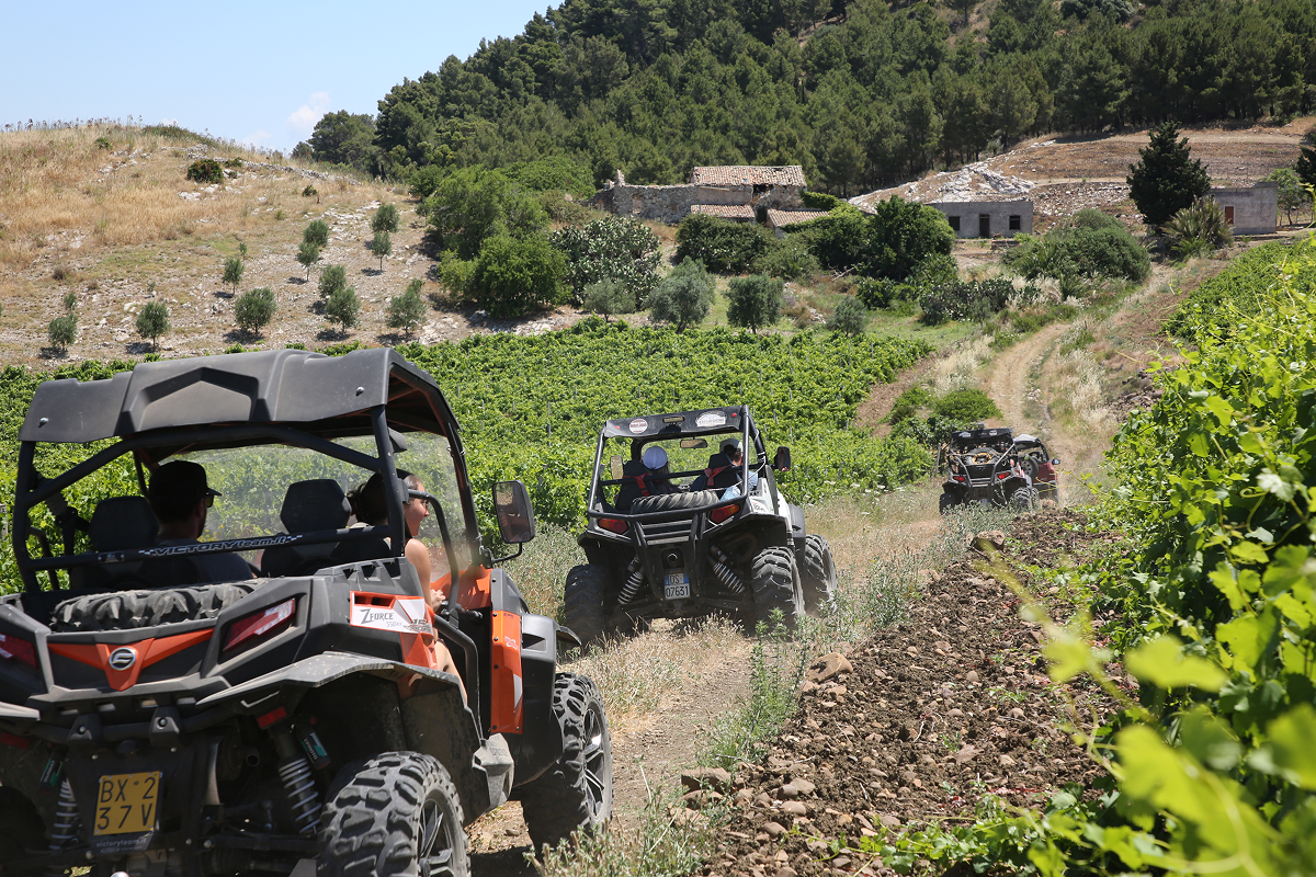 Segesta Tour 4X4:<br> Safari dei Cinque Sensi
